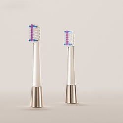 Jimok J6 Gold Końcówki Wymienne do Szczoteczki 2 sztuki