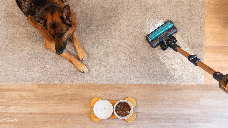 Cecotec RX70 AquaPet Flex Odkurzacz pionowy