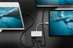 Multi adapter USB-C - VGA + Display Port + HDMI Goobay Biały