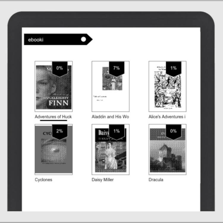 Bemi Ebook reader Cognita Light 2