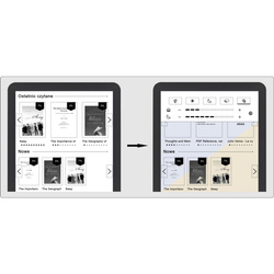 Bemi Ebook reader Cognita X black