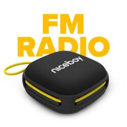 Głośnik mobilny Raze Mini 4 Niceboy Radio FM Czarny